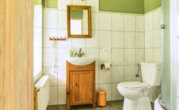 Tiszyna łazienka Zielony Zakątek
