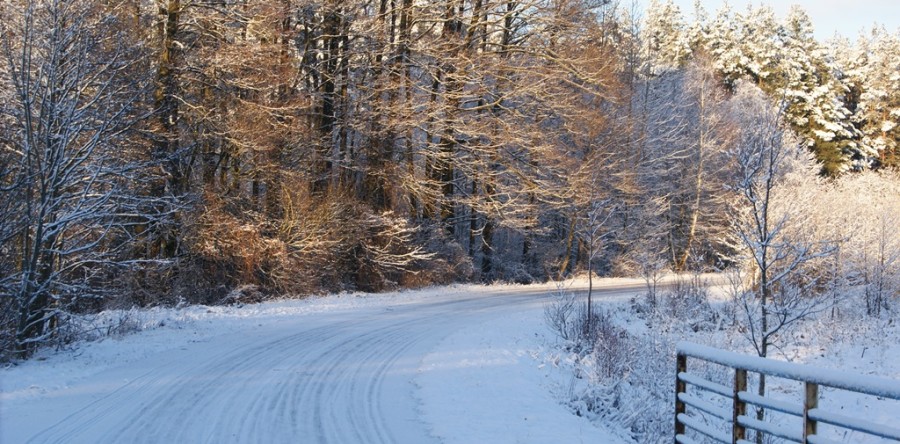 Zima na Podlasiu